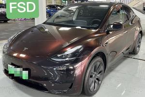 Model Y 特斯拉 改款 长续航后轮驱动版