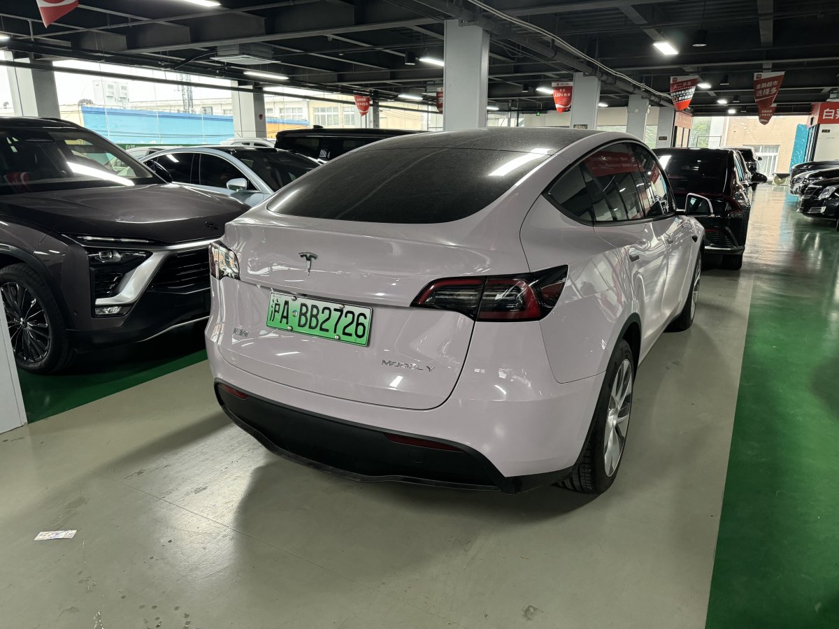 特斯拉 Model 3  2020款 改款 長續(xù)航后輪驅(qū)動版圖片