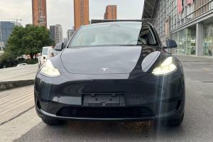 Model Y 特斯拉 改款 长续航后轮驱动版