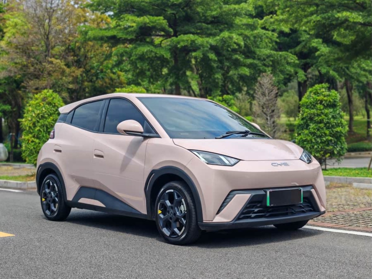 比亞迪 海鷗  2025款 305km 自由版圖片