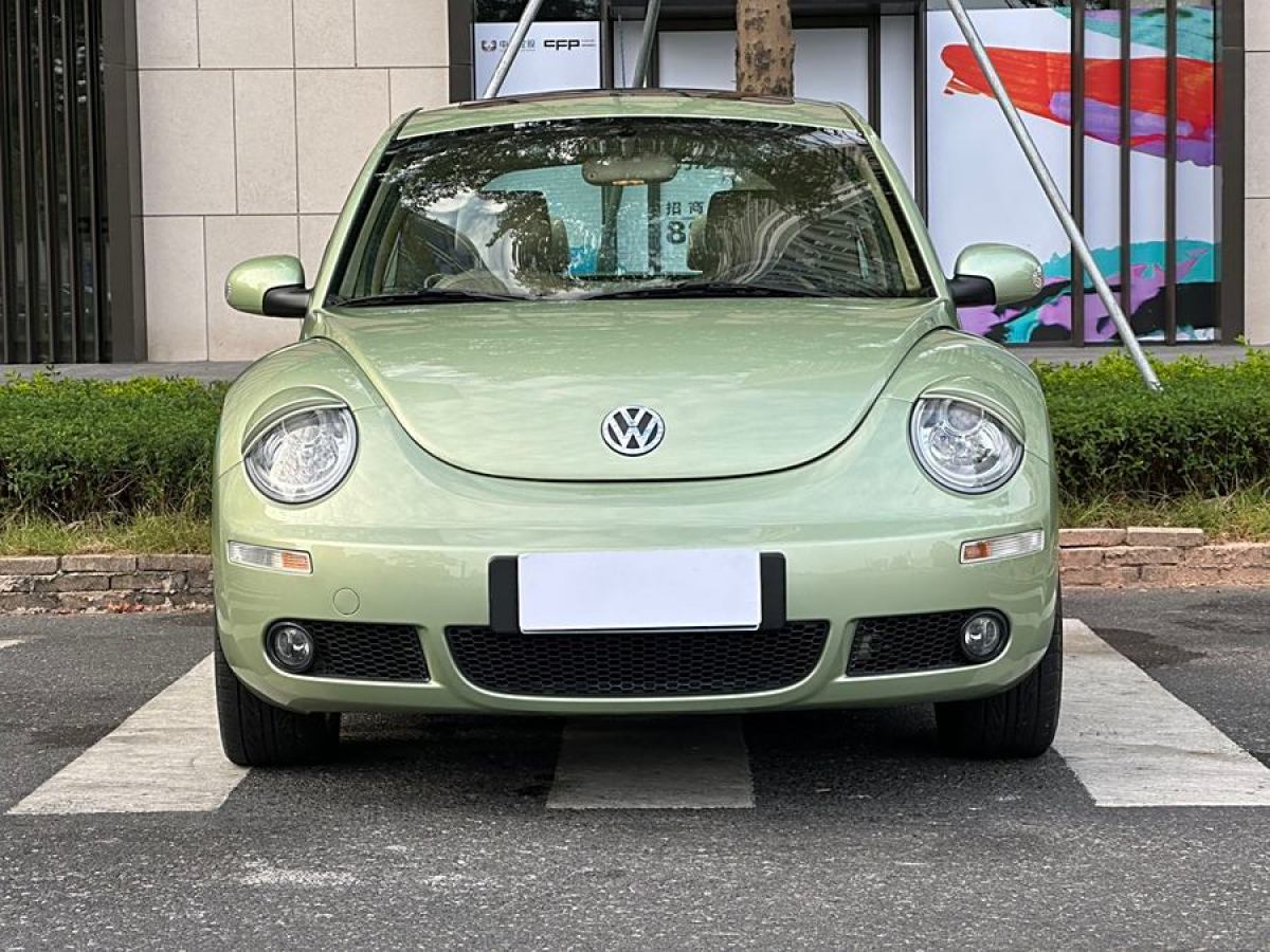 大眾 甲殼蟲  2008款 1.8T AT 豪華型圖片