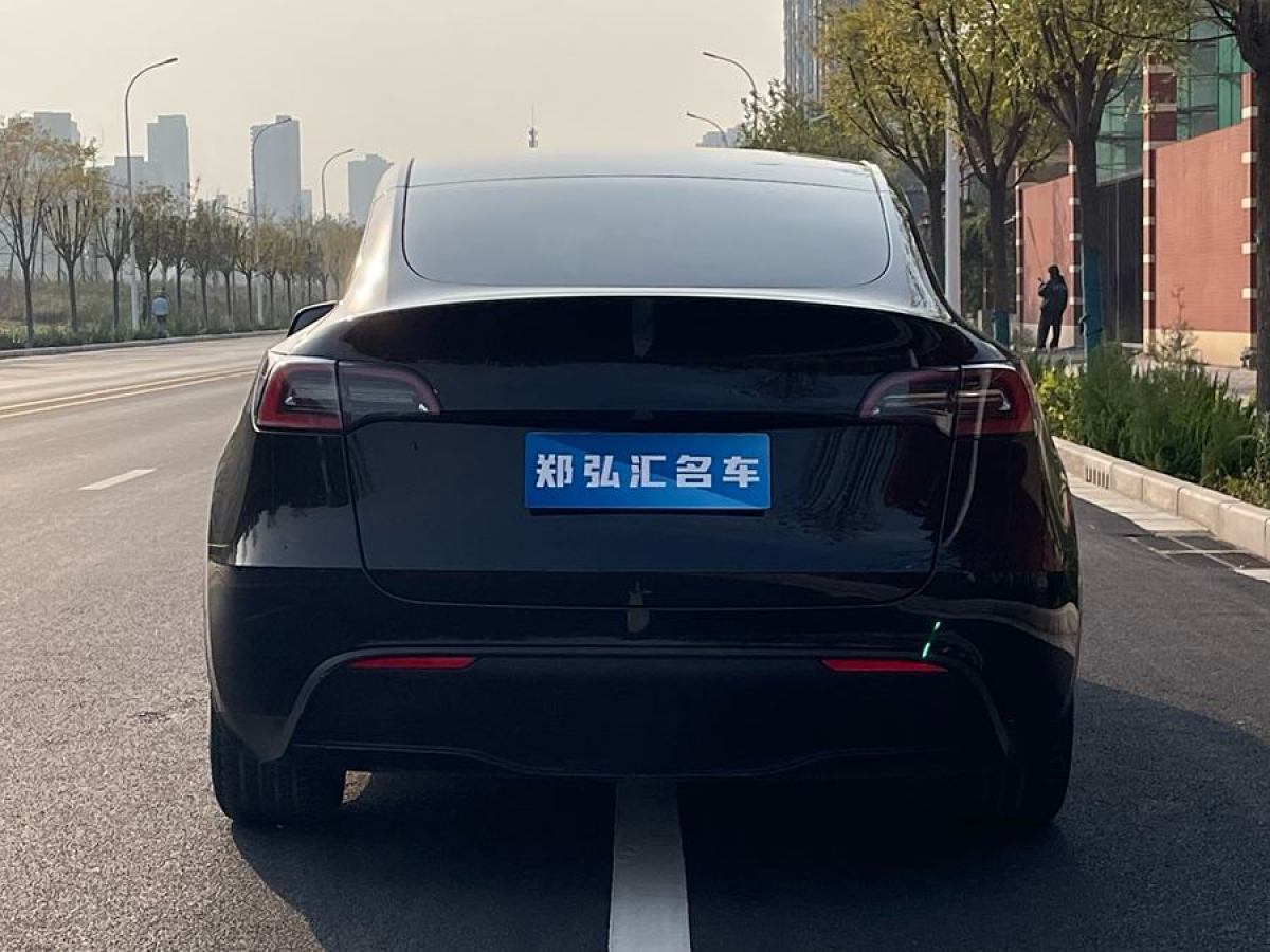 特斯拉 Model 3  2020款 改款 長續(xù)航后輪驅動版圖片