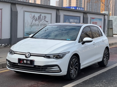 2023年3月 大眾 高爾夫 280TSI DSG Pro 首發(fā)版圖片