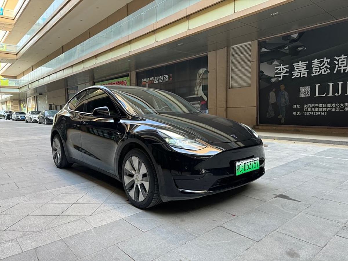 特斯拉 Model Y  2020款 改款 長續(xù)航后輪驅動版圖片