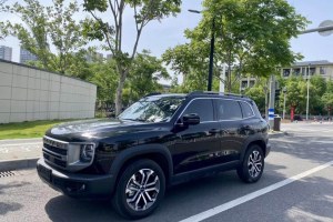 哈弗大狗 哈弗 1.5T DCT兩驅(qū)邊牧版