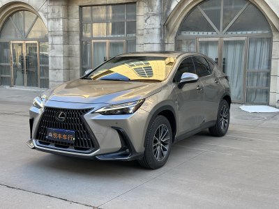 2023年4月 雷克萨斯 NX 260 前驱 创悦版图片