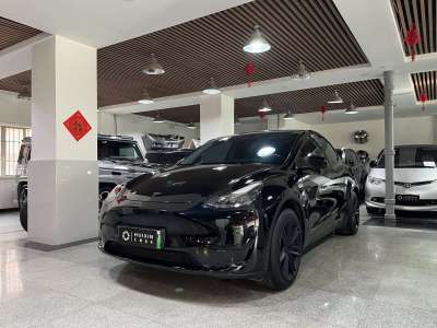 特斯拉 Model Y 后輪驅(qū)動(dòng)版圖片