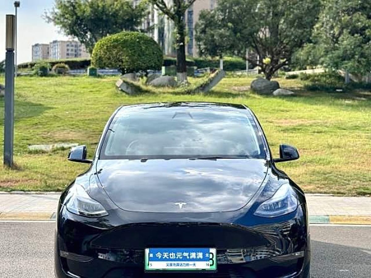 特斯拉 Model Y  2023款 煥新版 后輪驅(qū)動(dòng)圖片