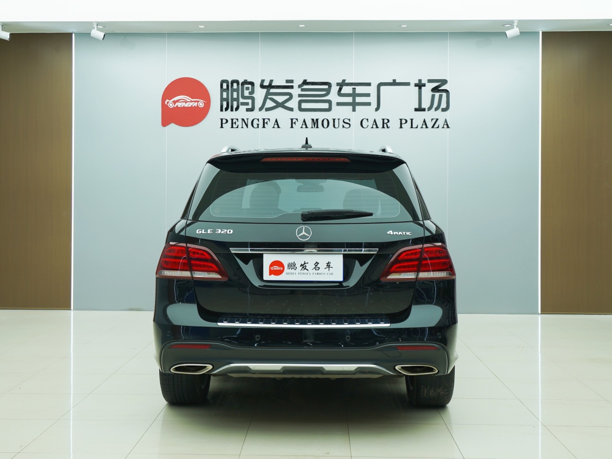 奔馳 奔馳GLE  2018款 GLE 320 4MATIC 動(dòng)感型臻藏版圖片