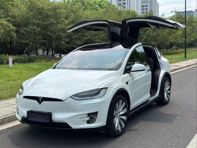 2018年7月 特斯拉 Model X Model X 100D 长续航版图片