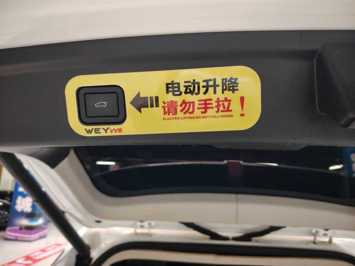 2019年1月WEY VV6  2018款 2.0T 四驅(qū)超豪型