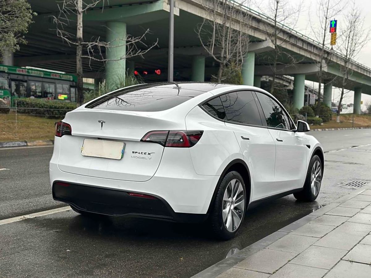 2023年3月特斯拉 Model 3  2020款 改款 長續(xù)航后輪驅(qū)動版