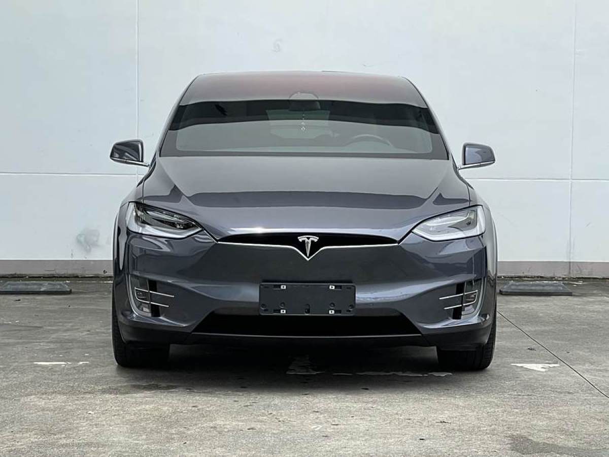 特斯拉 Model X  2016款 Model X 75D圖片