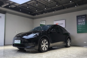 Model Y 特斯拉 长续航焕新版 双电机全轮驱动