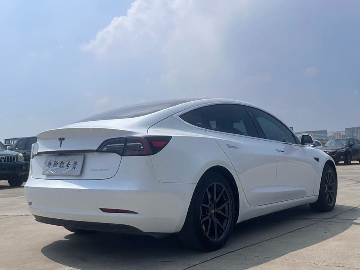 特斯拉 Model 3  2019款 長續(xù)航全輪驅(qū)動版圖片