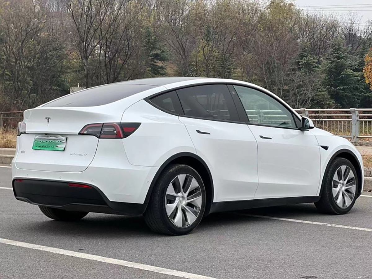 特斯拉 Model 3  2021款 改款 標(biāo)準(zhǔn)續(xù)航后驅(qū)升級版圖片