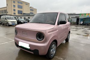 熊猫mini 吉利 200km 耐力熊