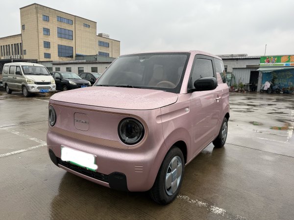 吉利 熊猫mini  2023款 200km 耐力熊