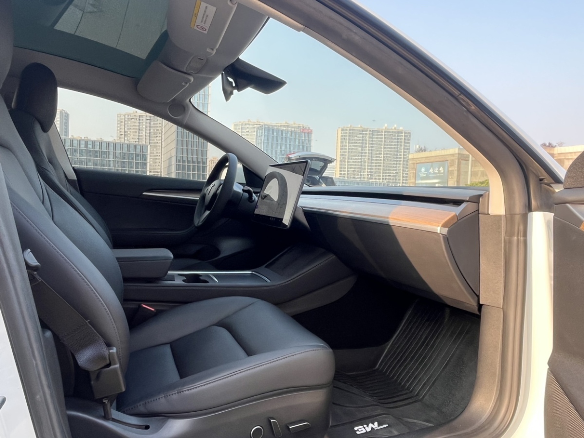 特斯拉 Model 3  2019款 標(biāo)準(zhǔn)續(xù)航后驅(qū)升級版圖片