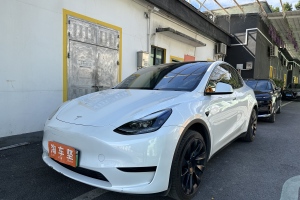 Model Y 特斯拉 改款 长续航后轮驱动版