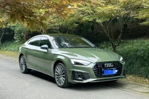 奧迪A5 奧迪 Sportback 40 TFSI quattro 豪華動感型