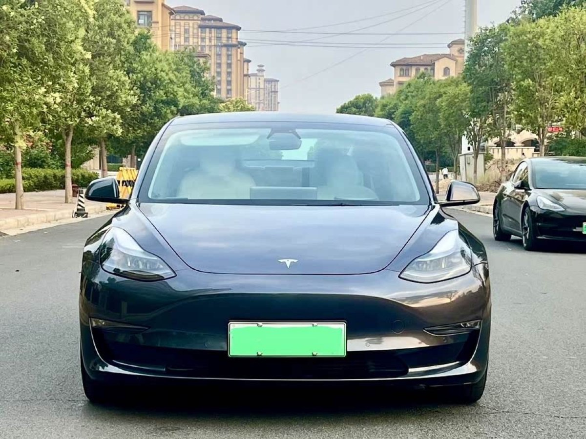 特斯拉 Model 3  2022款 Performance高性能全輪驅(qū)動(dòng)版圖片