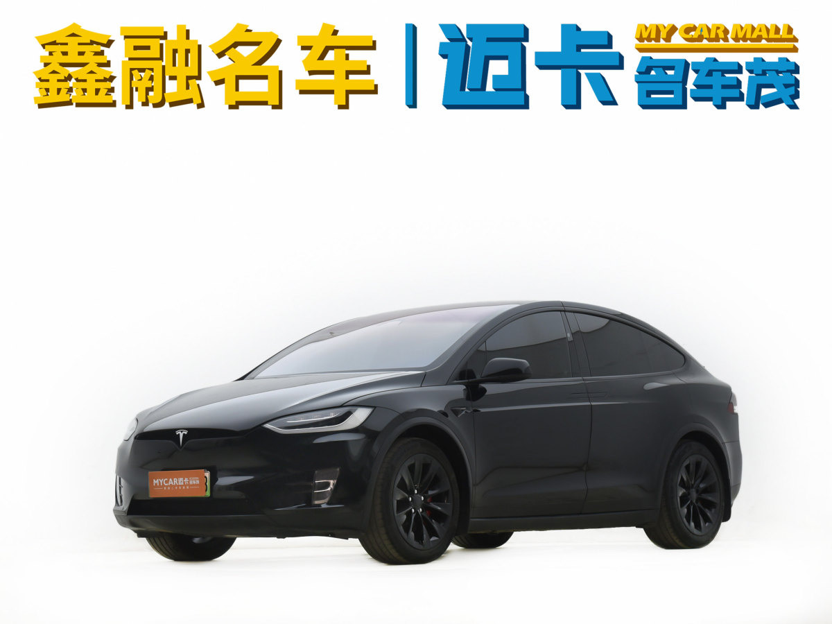 特斯拉 Model X  2017款 Model X 100D 長(zhǎng)續(xù)航版圖片