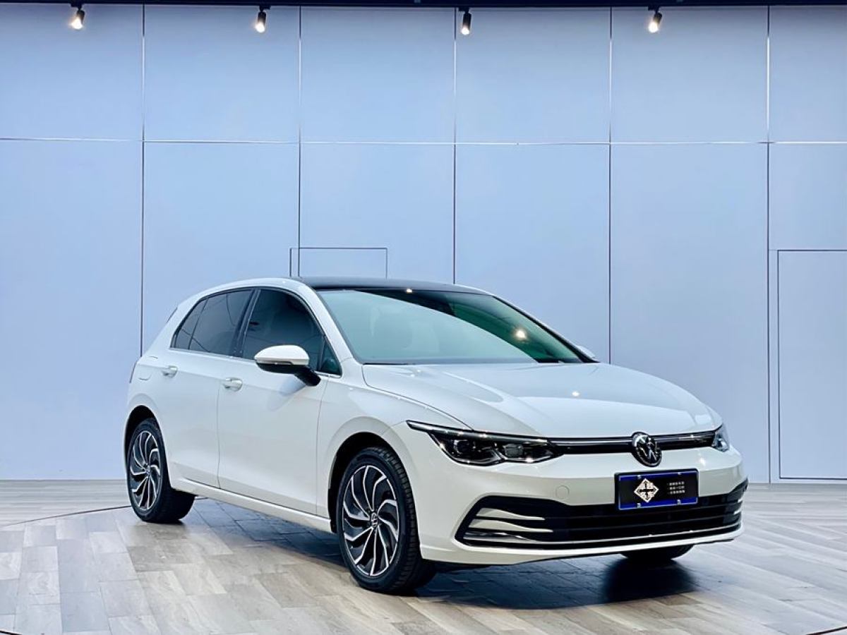 大眾 高爾夫  2021款 280TSI DSG Pro圖片