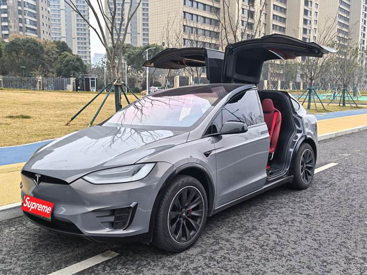 特斯拉 Model X  2019款 Performance 高性能版圖片