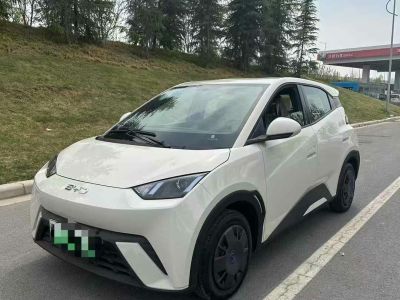 2025年1月 長安跨越 新豹T3 EV PLUS 單排標準型 倉柵車圖片