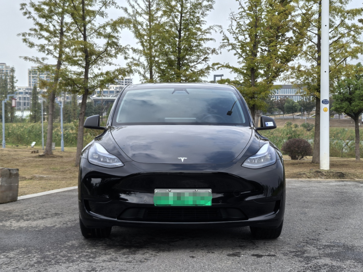 2023年7月特斯拉 Model Y  2020款 改款 長續(xù)航后輪驅(qū)動版