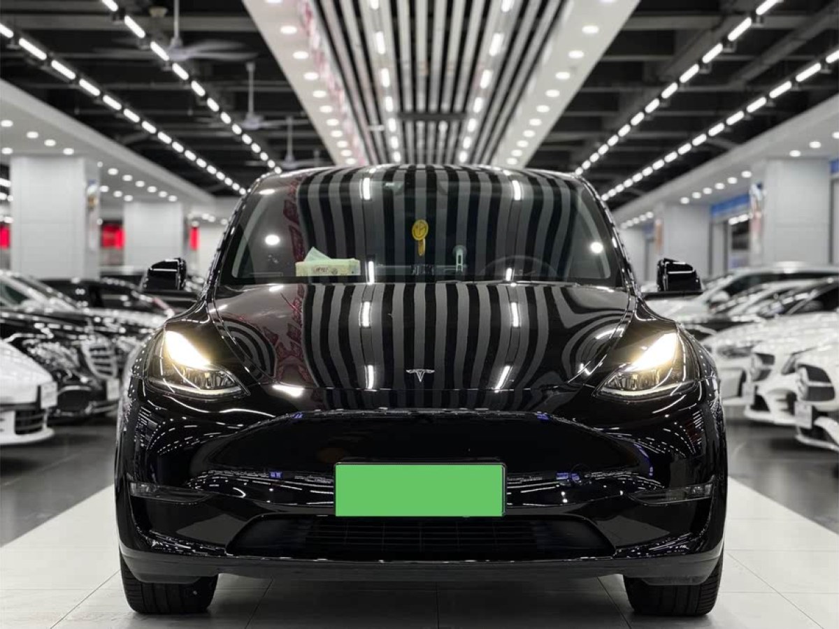 特斯拉 Model Y  2024款 長續(xù)航全輪驅(qū)動版圖片