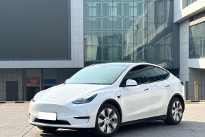 Model Y 特斯拉 改款 后輪驅(qū)動版