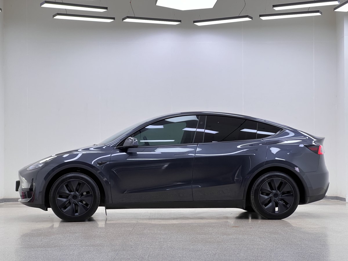 特斯拉 Model Y  2020款 改款 長續(xù)航后輪驅(qū)動版圖片