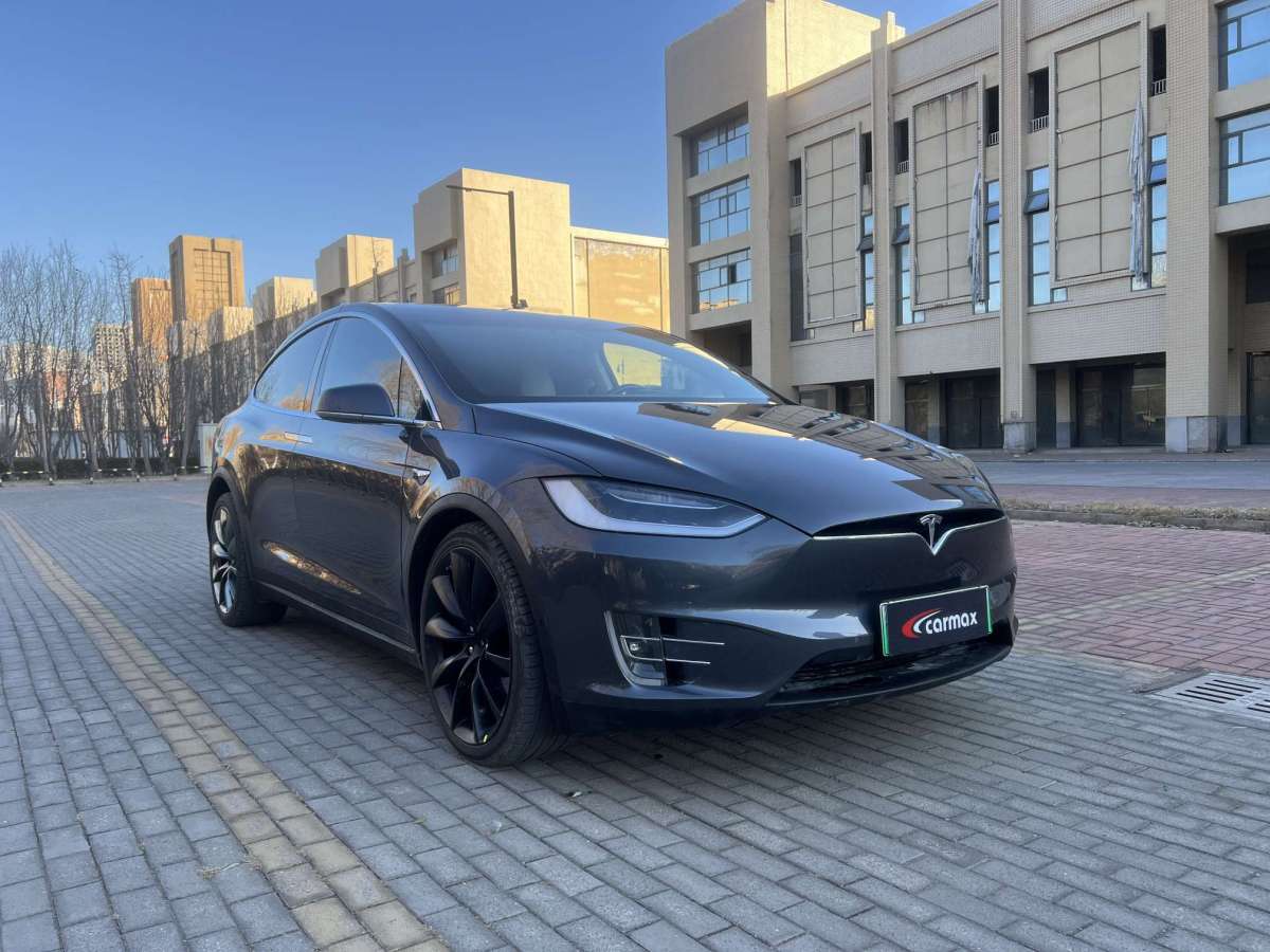 特斯拉 Model X  2019款 標(biāo)準(zhǔn)續(xù)航版圖片