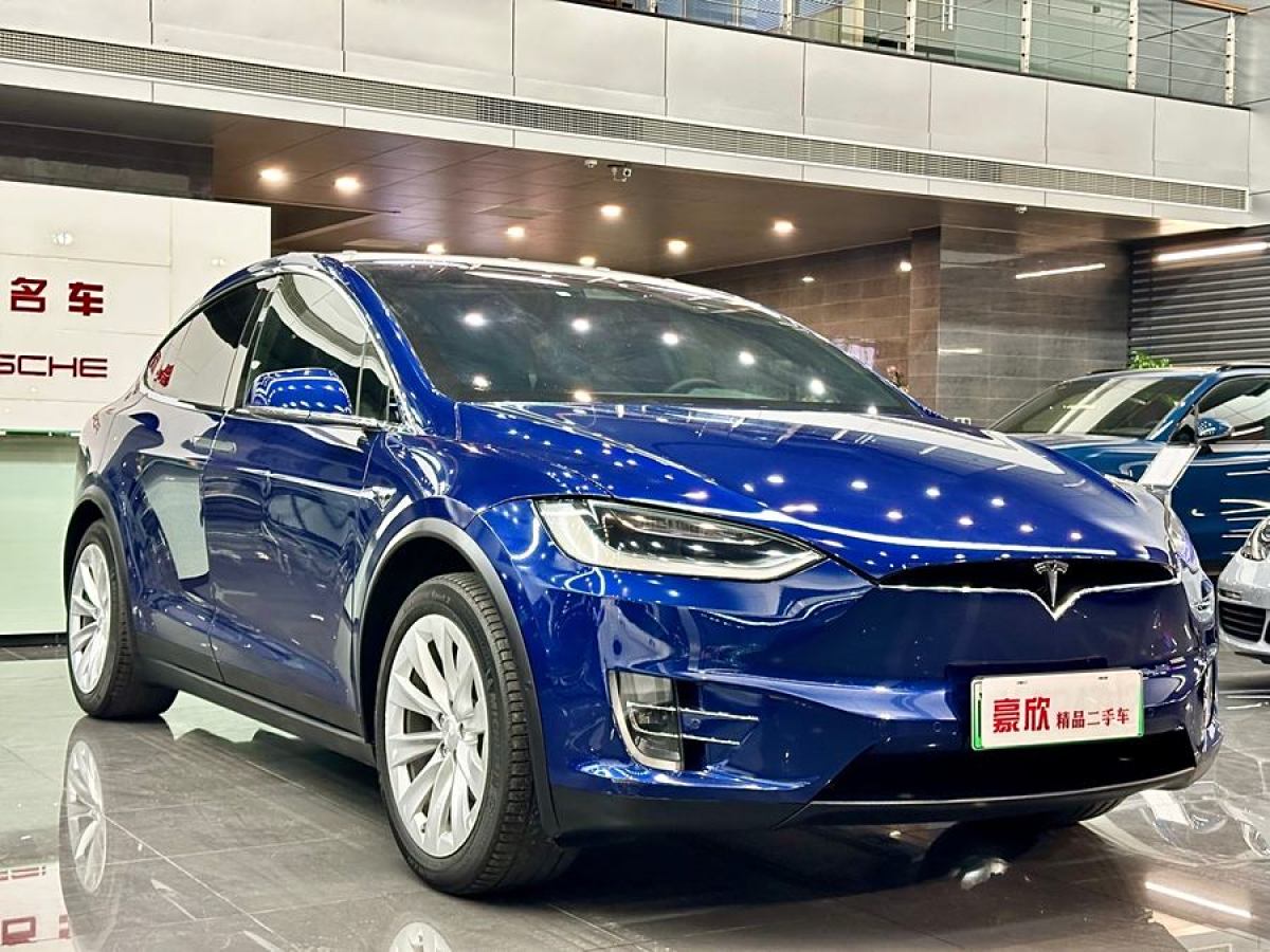 特斯拉 Model X  2016款 Model X 60D圖片