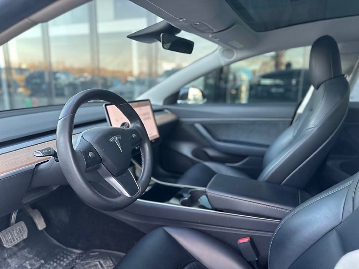 特斯拉 Model 3  2019款 標(biāo)準(zhǔn)續(xù)航后驅(qū)升級版圖片