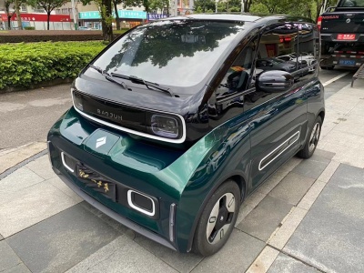 2021年11月 宝骏 宝骏KiWi EV 设计师 三元锂图片