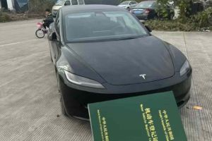 Model S 特斯拉 三電機全輪驅(qū)動 Plaid版