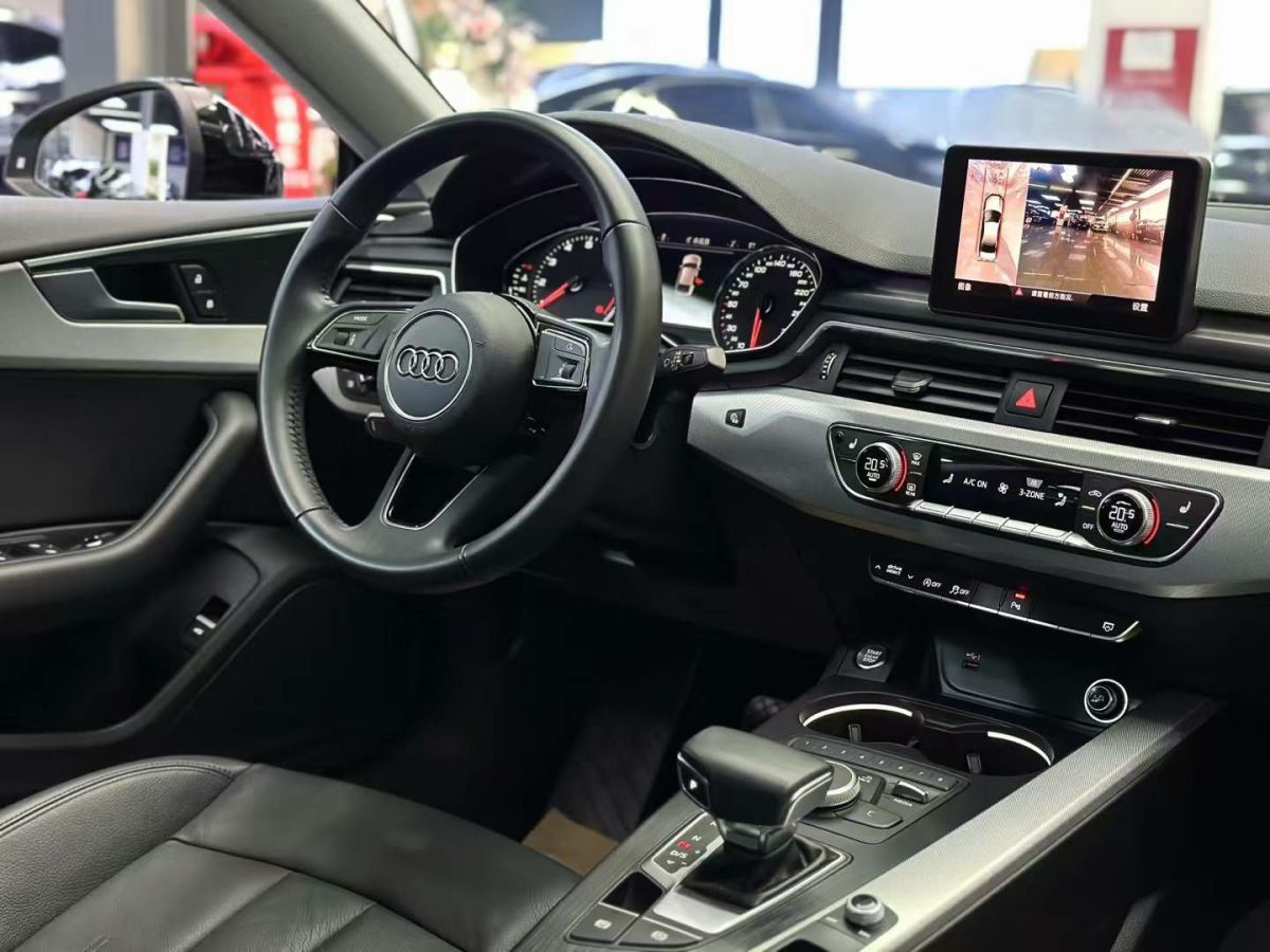 奧迪 奧迪Q5  2018款 典藏版 40 TFSI 技術(shù)型圖片