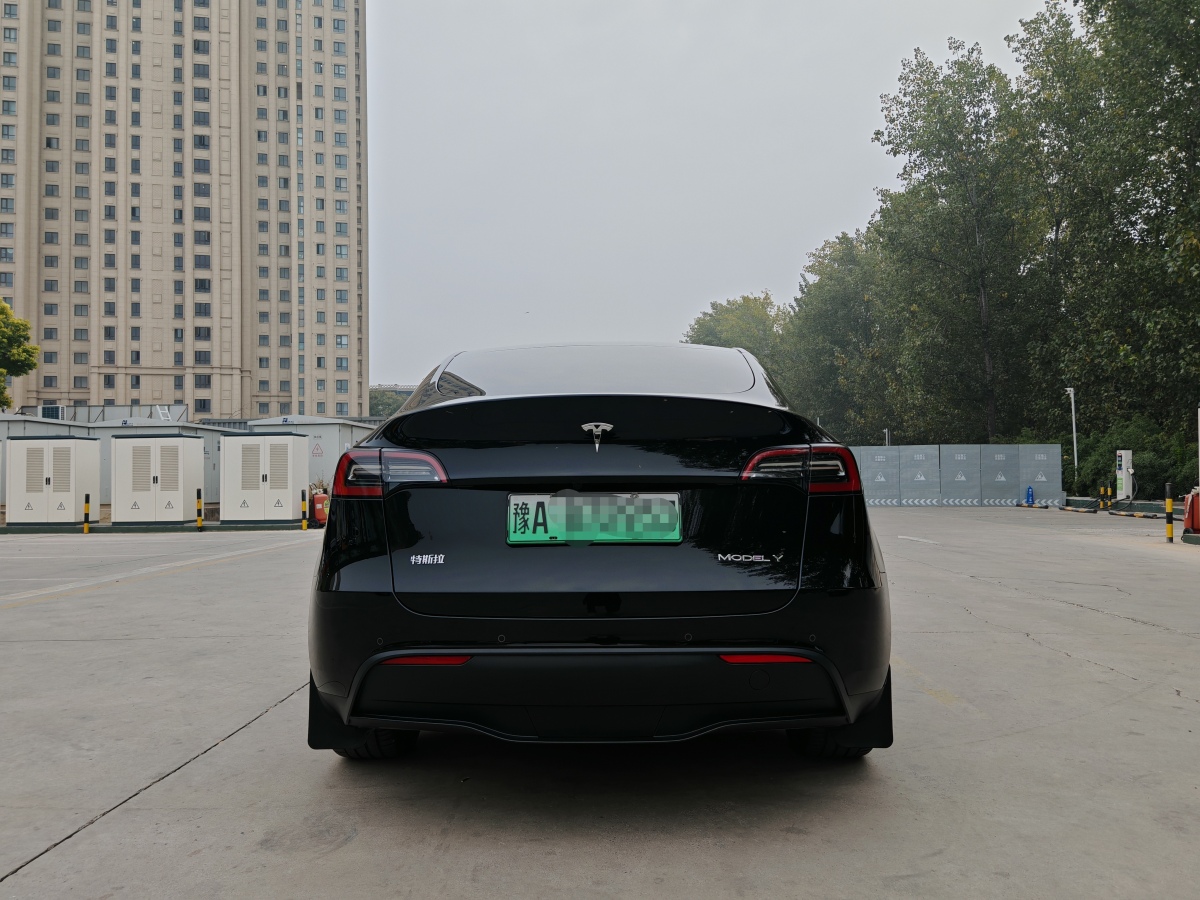 特斯拉 Model Y  2021款 改款 Performance高性能全輪驅(qū)動版圖片