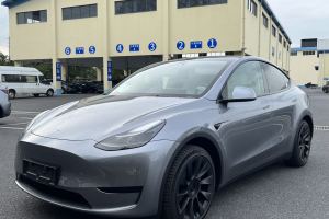 Model Y 特斯拉 改款 长续航后轮驱动版