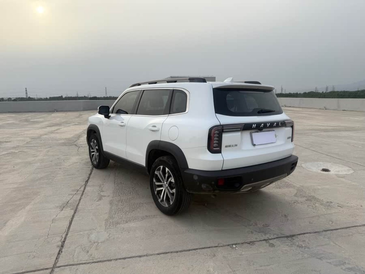 哈弗 哈弗大狗  2021款 1.5T DCT邊牧版圖片