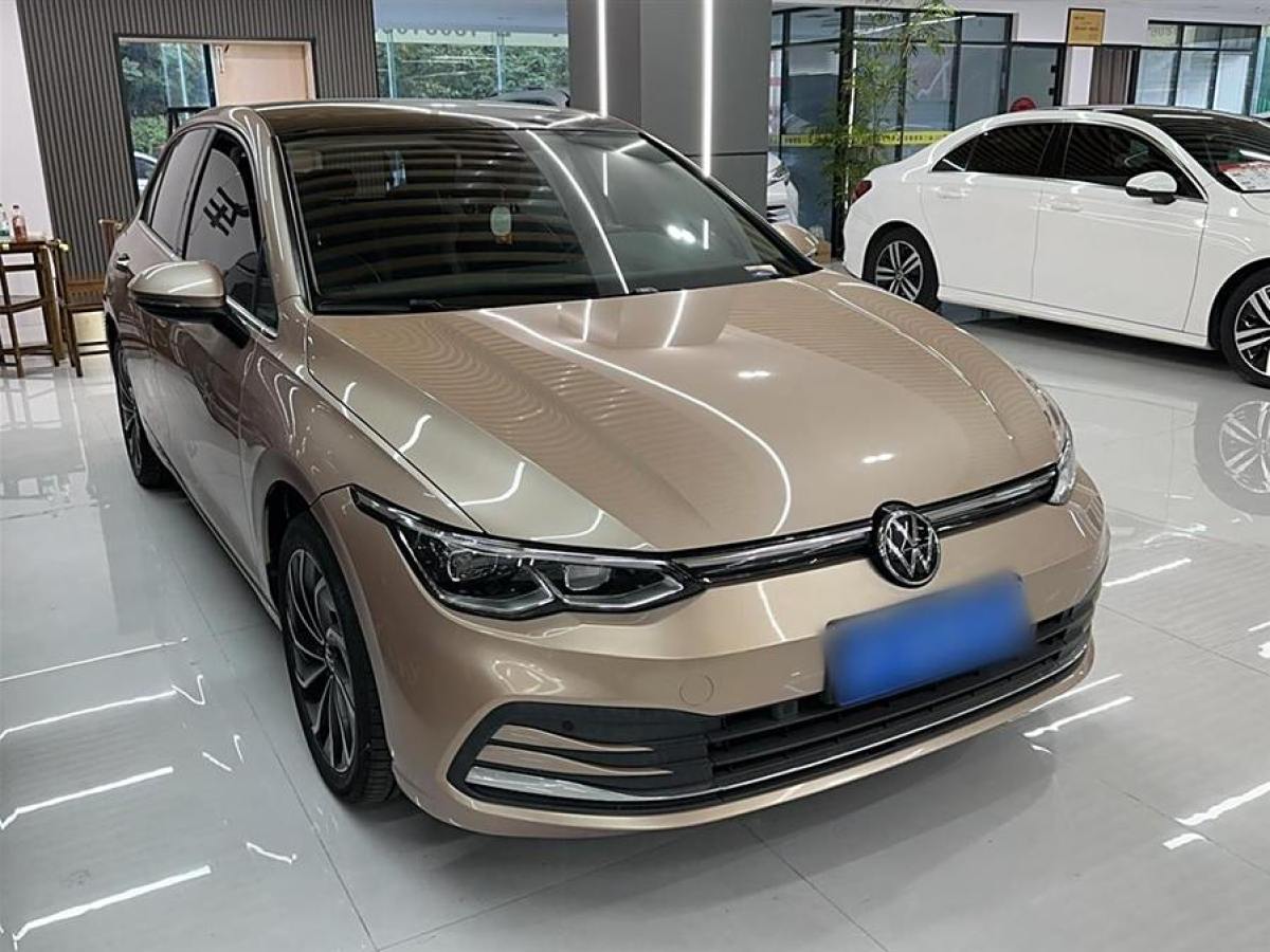 大眾 高爾夫  2021款 280TSI DSG Pro圖片