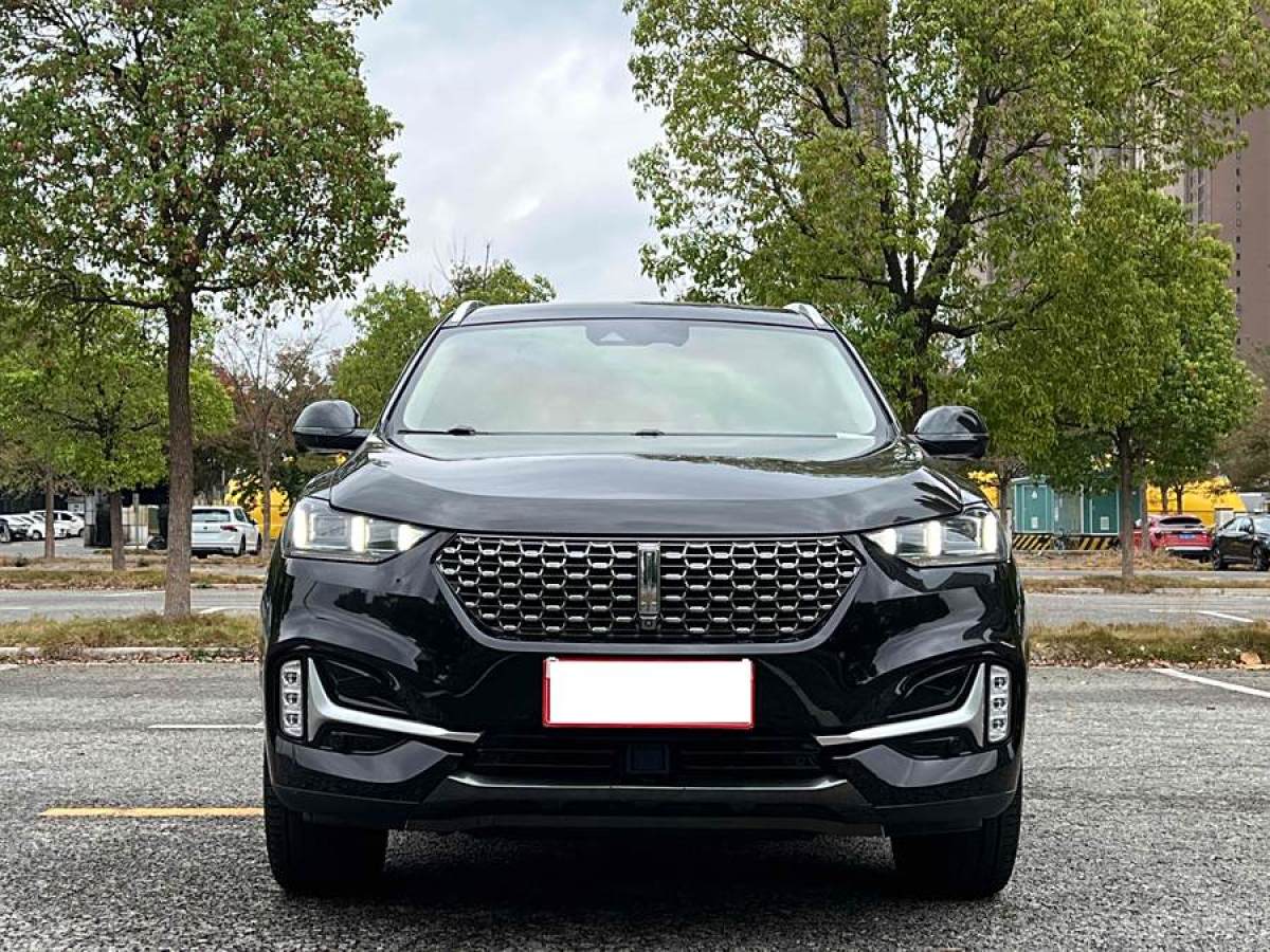 WEY VV6  2021款 2.0T 兩驅智享+圖片