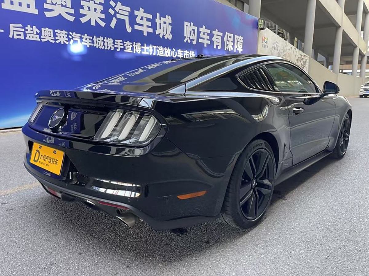 福特 Mustang  2015款 2.3T 性能版圖片