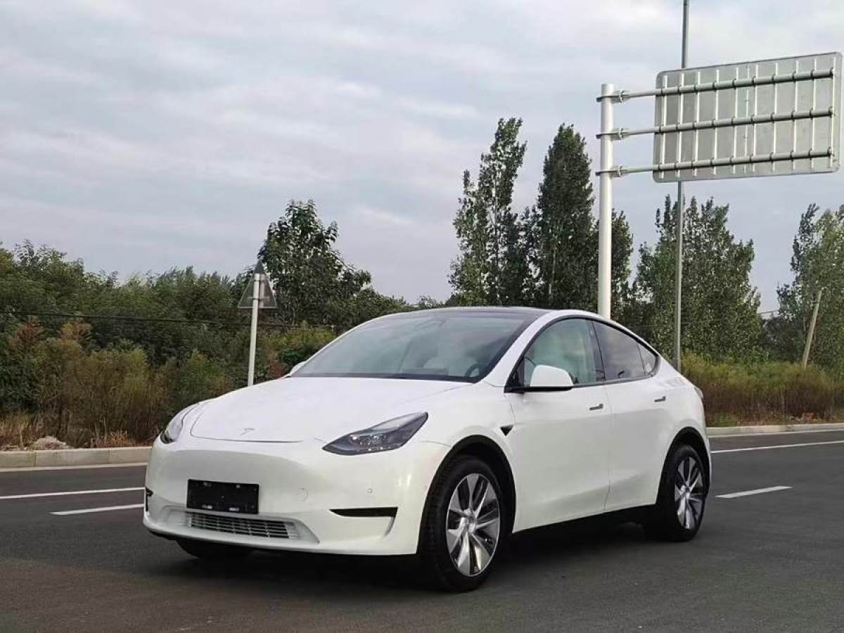 2022年11月特斯拉 Model 3  2022款 后輪驅(qū)動版