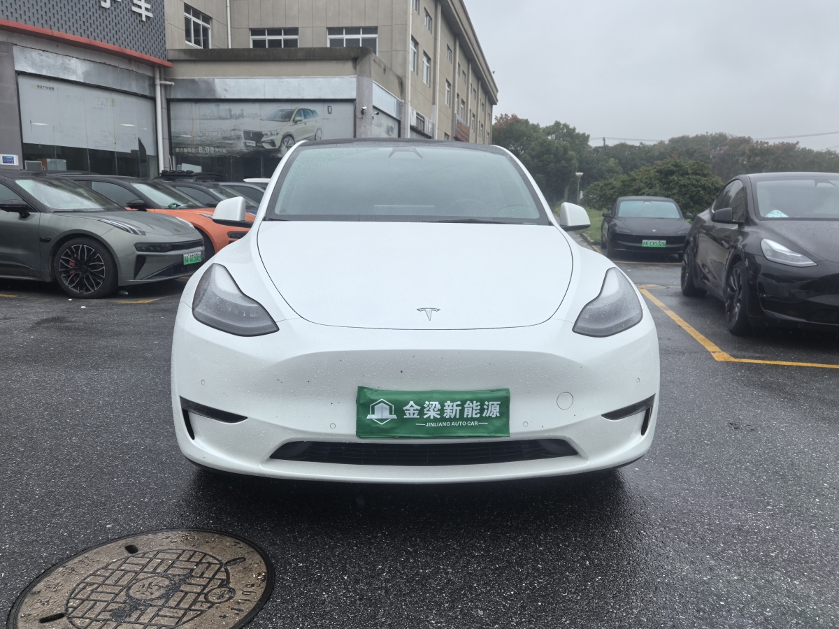 2022年6月特斯拉 Model Y  2022款 Performance高性能全輪驅(qū)動(dòng)版