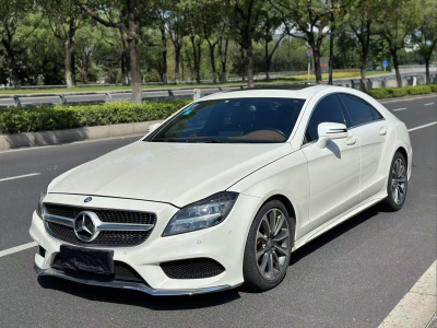 2011年2月 奔馳 奔馳CLS級(進口) CLS 320 逸彩版圖片