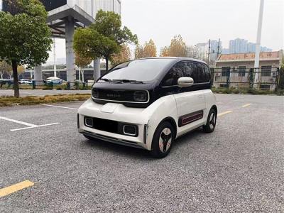 2022年1月 寶駿 寶駿KiWi EV 藝術(shù)家 三元鋰圖片